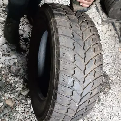 Шина Petlas Full Grip 225/65-16C